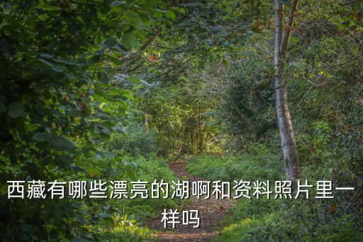 三大圣湖，西藏有哪些漂亮的湖啊和資料照片里一樣嗎