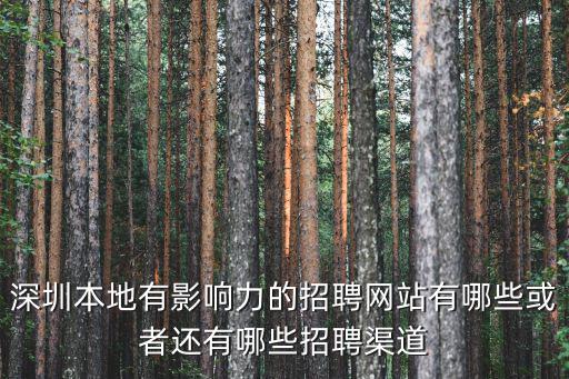 深圳人才招聘網，在深圳去找工作有哪些招聘網站啊