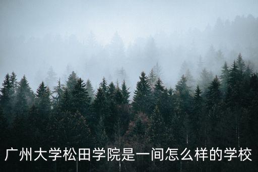 廣州大學松田學院是一間怎么樣的學校