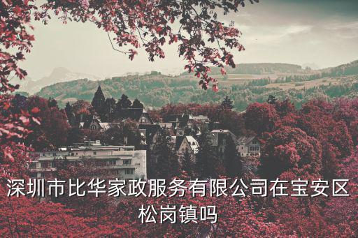 深圳市比華家政服務有限公司在寶安區(qū)松崗鎮(zhèn)嗎