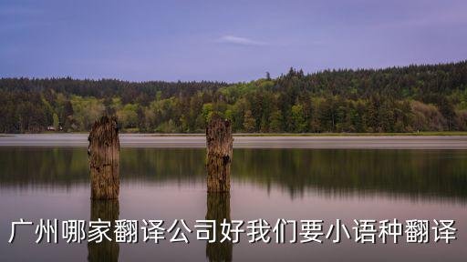 廣州哪家翻譯公司好我們要小語種翻譯