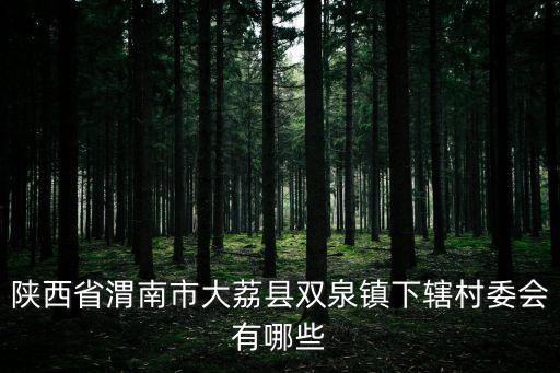 雙泉，咸陽(yáng)道北還是好雙泉好