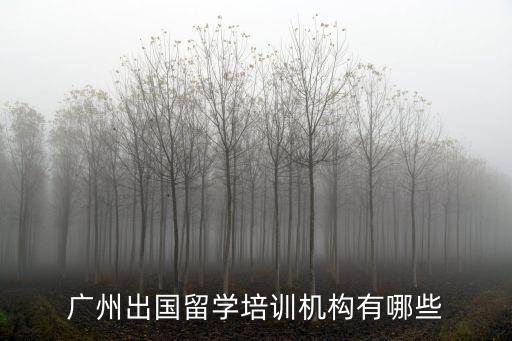 廣州出國留學培訓機構有哪些