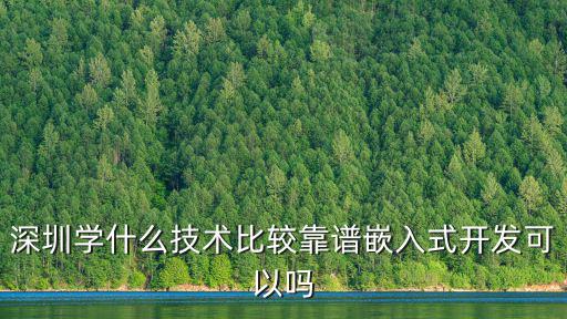 深圳學什么技術比較靠譜嵌入式開發可以嗎