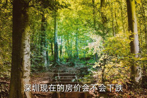 深圳房價(jià)最新消息，深圳現(xiàn)在的房價(jià)會(huì)不會(huì)下跌
