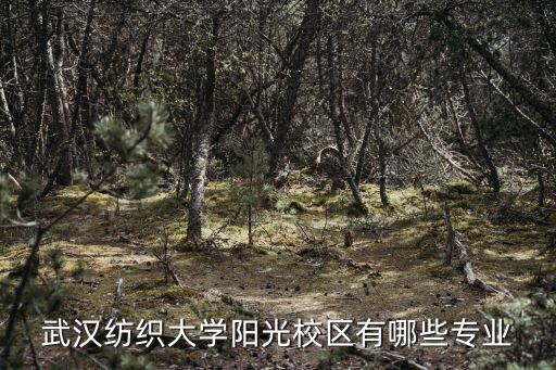 武漢紡織大學陽光校區有哪些專業