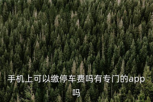 停車繳費，那個什么停車繳費APP真的好用么