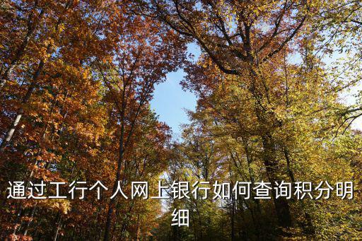 個(gè)人積分查詢，查看自己的積分