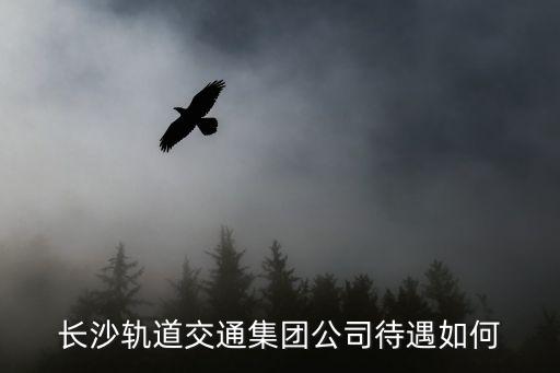 長(zhǎng)沙軌道交通集團(tuán)公司待遇如何