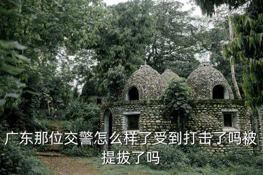 廣東那位交警怎么樣了受到打擊了嗎被提拔了嗎
