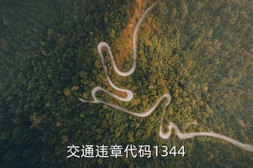 交通違章代碼1344