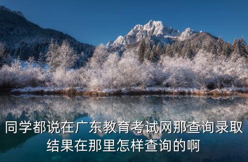 同學都說在廣東教育考試網那查詢錄取結果在那里怎樣查詢的啊