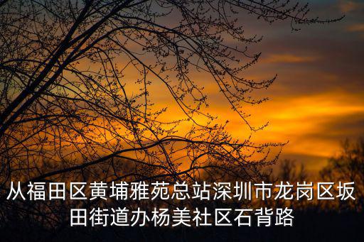 從福田區黃埔雅苑總站深圳市龍崗區坂田街道辦楊美社區石背路