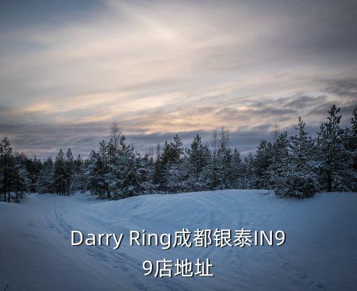 Darry Ring成都銀泰IN99店地址