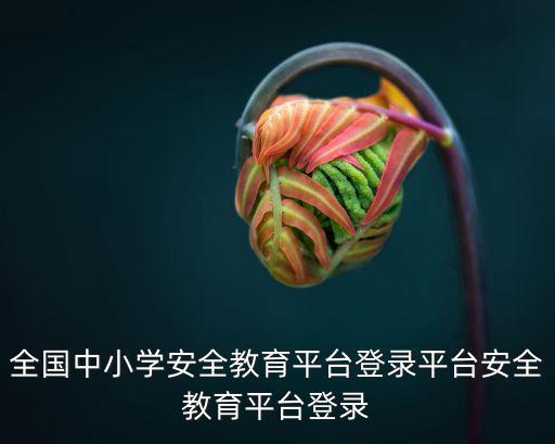 全國中小學生安全教育平臺，全國中小學安全教育平臺登錄平臺安全教育平臺登錄