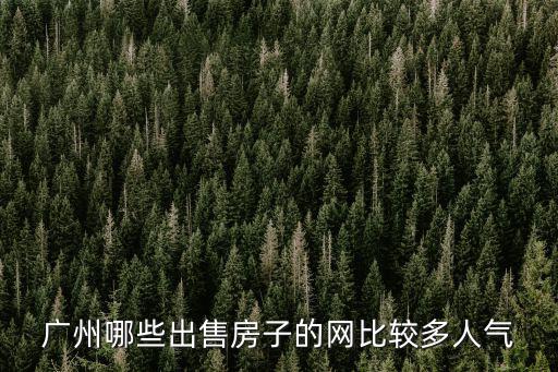 廣州哪些出售房子的網比較多人氣