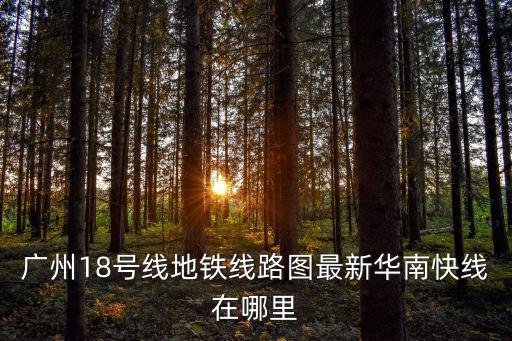 廣州18號線地鐵線路圖最新華南快線在哪里