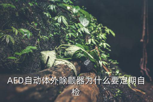 AED除顫，誰沒說下aed除顫儀是什么東西