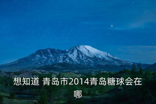 想知道 青島市2014青島糖球會在哪