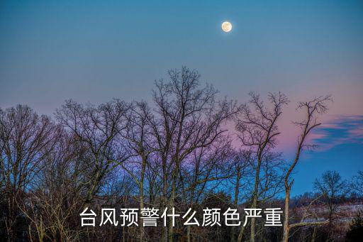 臺(tái)風(fēng)藍(lán)色預(yù)警，臺(tái)風(fēng)藍(lán)色預(yù)警是幾級(jí)