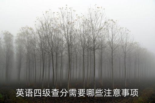 英語四級查分需要哪些注意事項