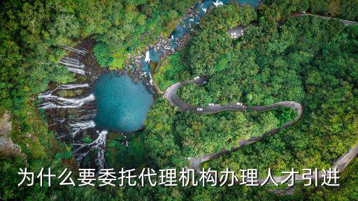 為什么要委托代理機構辦理人才引進