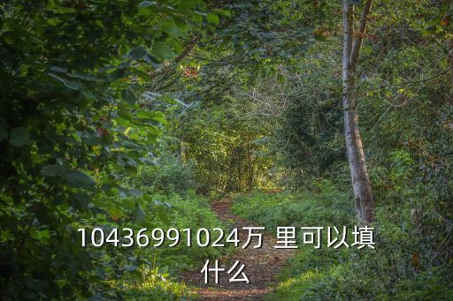10436991024萬 里可以填什么