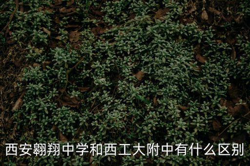 西安翱翔中學和西工大附中有什么區別