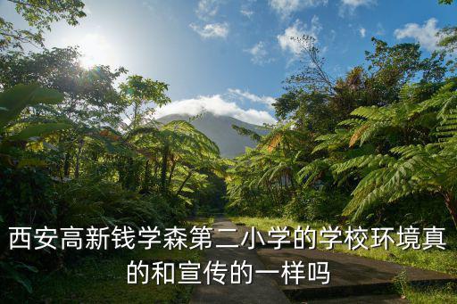 西安錢學森小學，求大神 有沒有知情人士來扒一下西安高新錢學森第二小學的背景