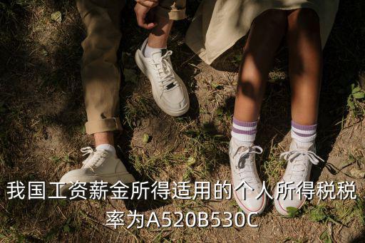 我國工資薪金所得適用的個人所得稅稅率為A520B530C