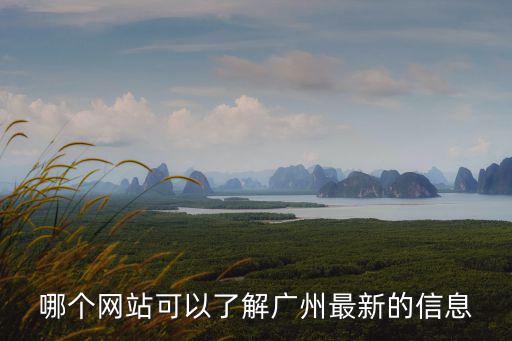 廣州新聞網，哪個網站可以了解廣州最新的信息