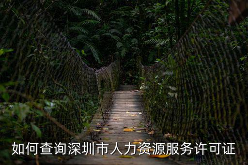 如何查詢深圳市人力資源服務(wù)許可證