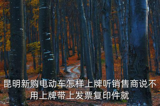 昆明新購電動車怎樣上牌聽銷售商說不用上牌帶上發票復印件就
