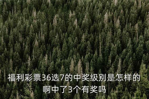 廣東福利彩票36選7，南粵風(fēng)采36選7組號(hào)
