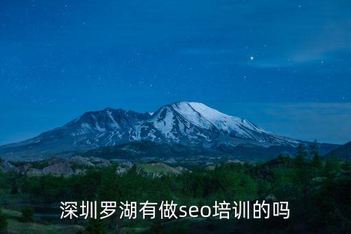 深圳羅湖有做seo培訓的嗎