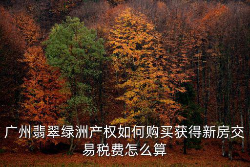 廣州翡翠綠洲產權如何購買獲得新房交易稅費怎么算
