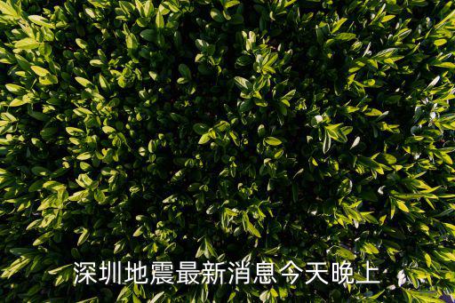 深圳地震最新消息今天晚上