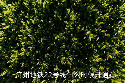 軌交22號線，上海地鐵22號線新橋站在哪