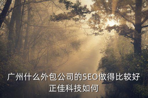 廣州什么外包公司的SEO做得比較好正佳科技如何