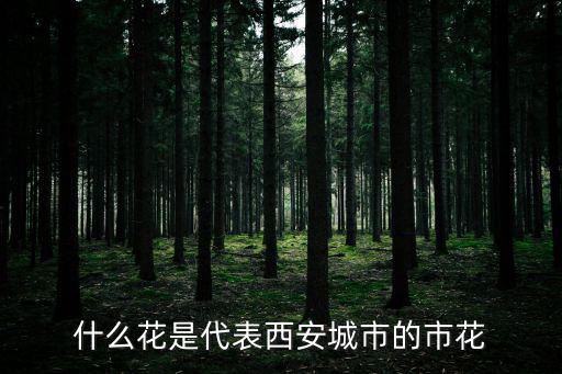 西安花，西安那些花卉市場不錯