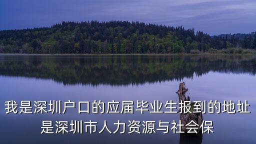 我是深圳戶口的應屆畢業生報到的地址是深圳市人力資源與社會保