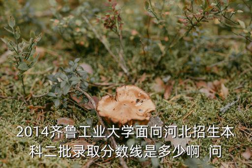 2014齊魯工業大學面向河北招生本科二批錄取分數線是多少啊  問