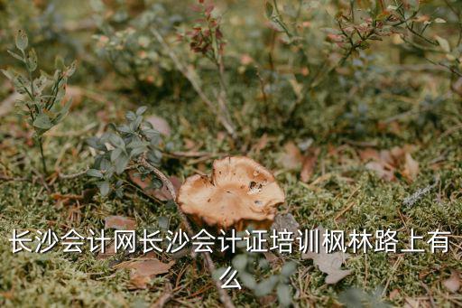長沙會計網(wǎng)長沙會計證培訓(xùn)楓林路上有么