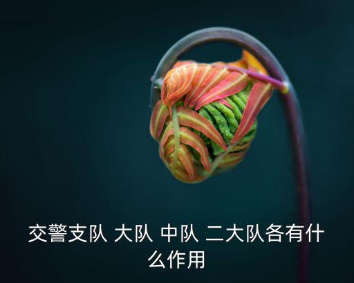 交警支隊(duì) 大隊(duì) 中隊(duì) 二大隊(duì)各有什么作用