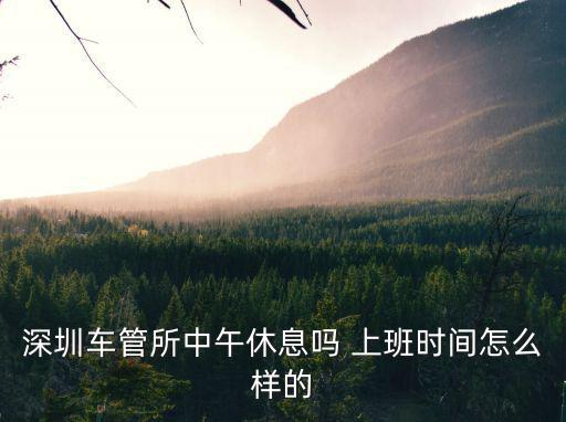 深圳車管所中午休息嗎 上班時間怎么樣的