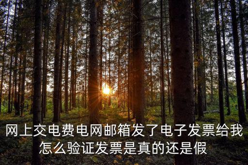 網上交電費電網郵箱發了電子發票給我怎么驗證發票是真的還是假