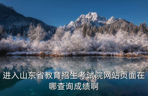 進入山東省教育招生考試院網站頁面在哪查詢成績啊