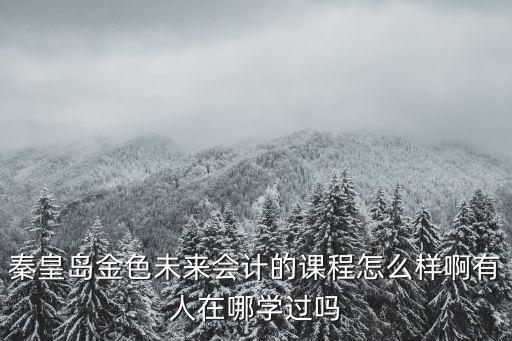 秦皇島金色未來會計的課程怎么樣啊有人在哪學過嗎