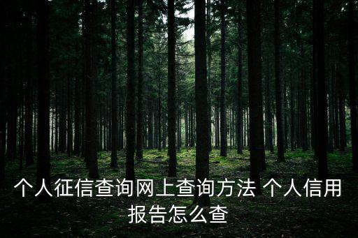 個人征信查詢網上查詢方法 個人信用報告怎么查