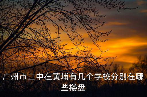 廣州市二中在黃埔有幾個學(xué)校分別在哪些樓盤
